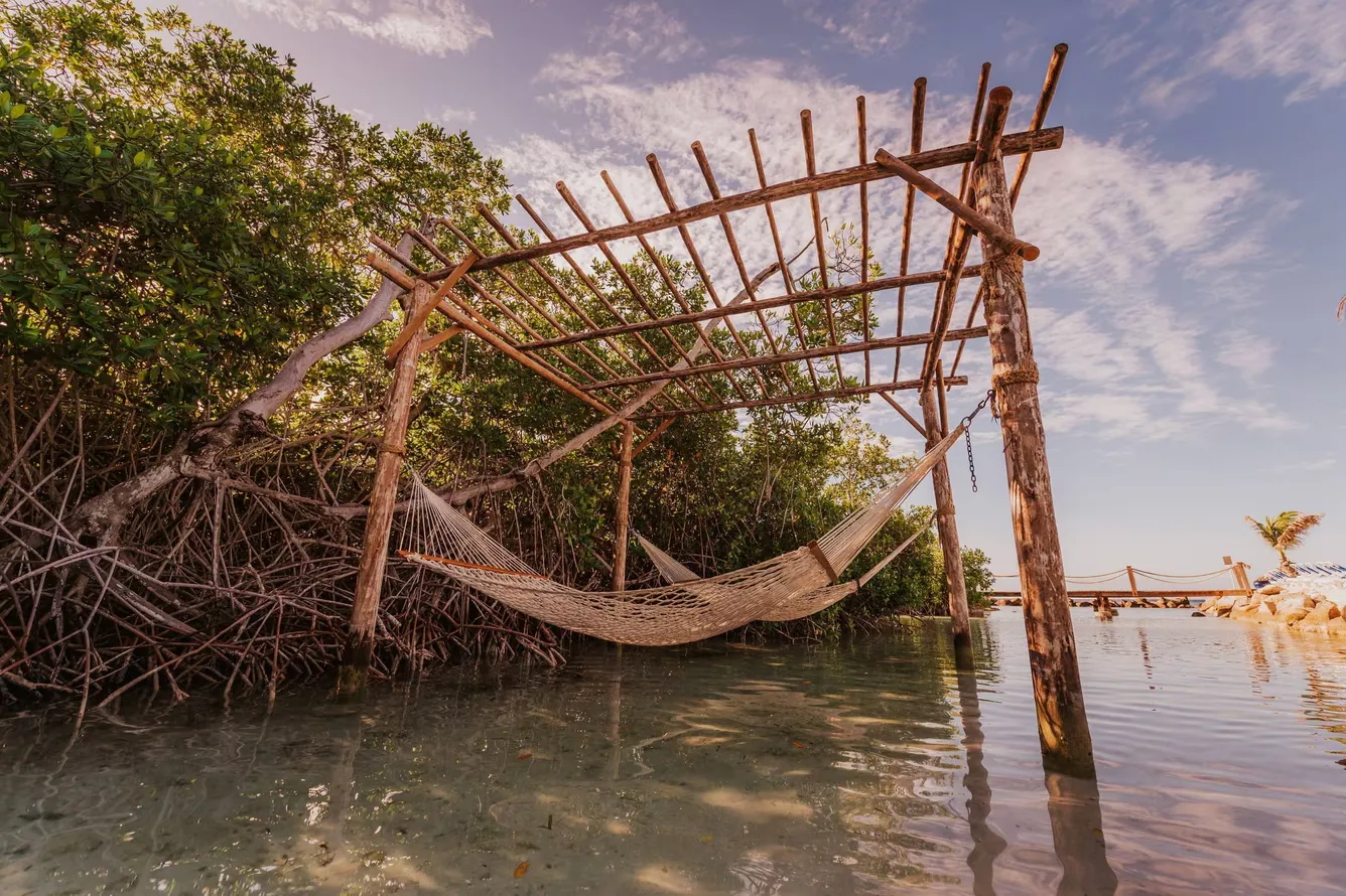 auabr-island-9478-hor-clsc